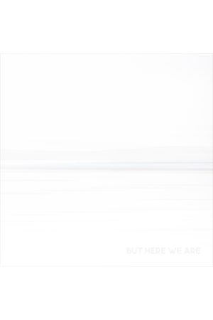 But Here We Are - Foo Fighters*