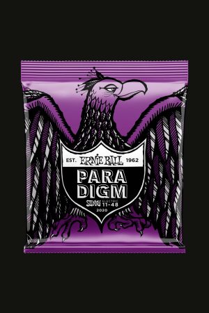 Ernie Ball 2020 Paradigm 11-48