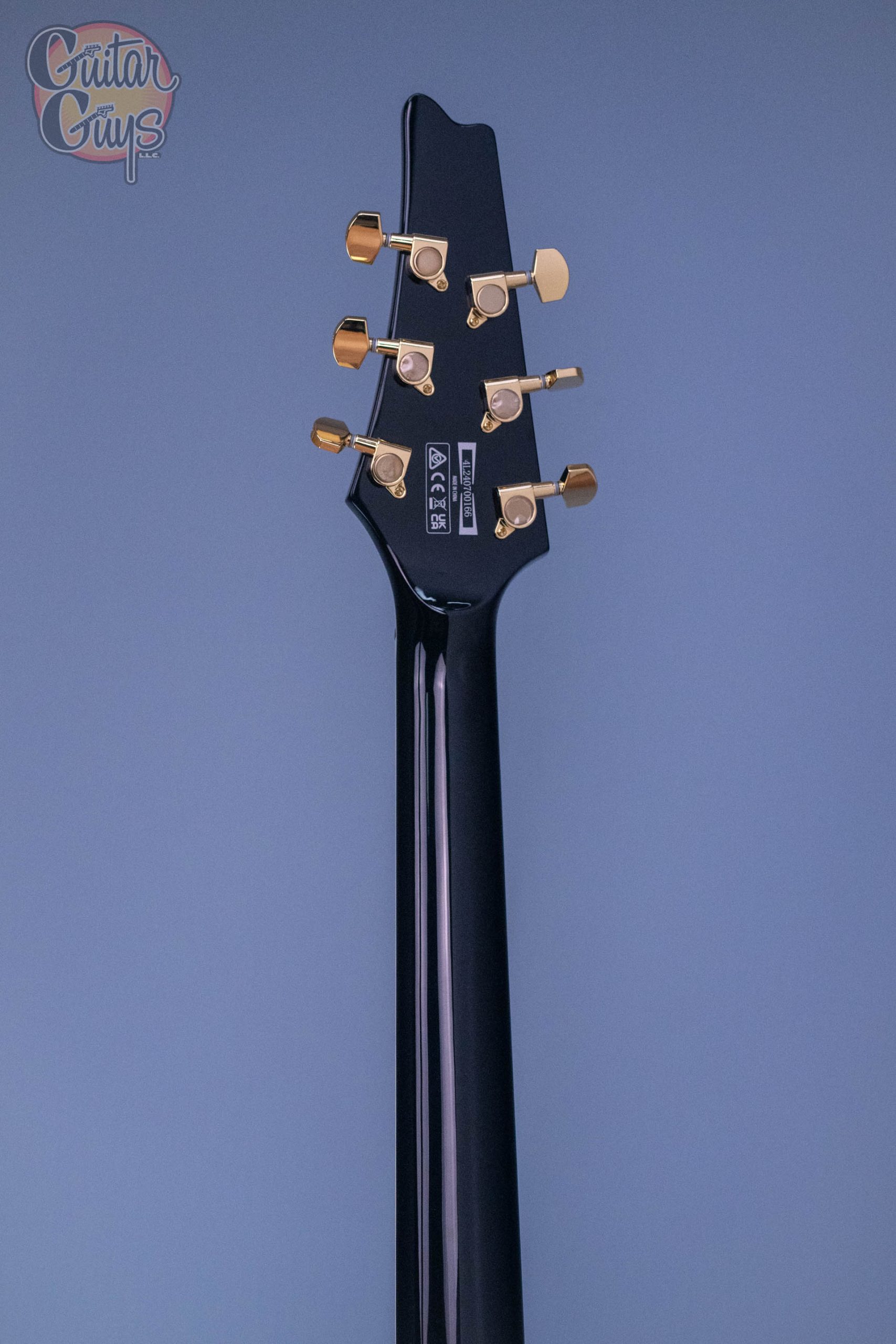 Ibanez FRM350 Paul Gilbert Signature Model Black - Guitar Guys