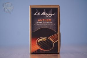 L.R. Baggs Anthem Tru-Mic & Element Pickup System