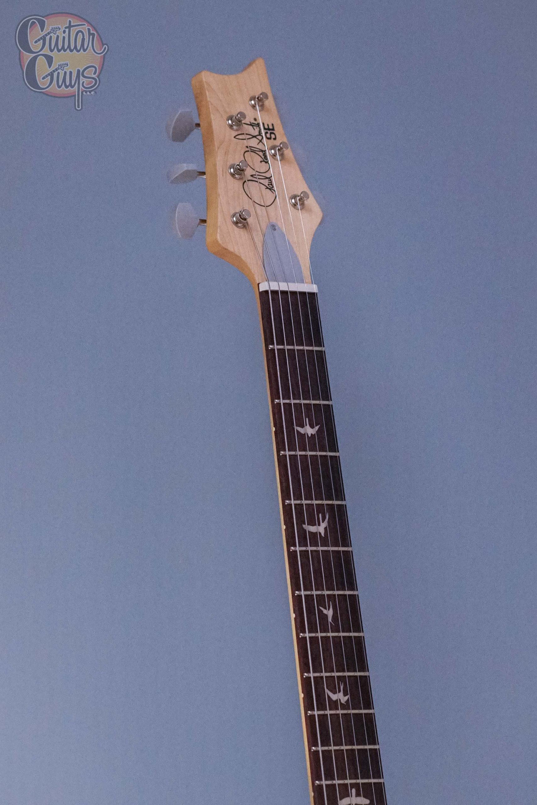 PRS SE Silver Sky Dragon Fruit - Image 2