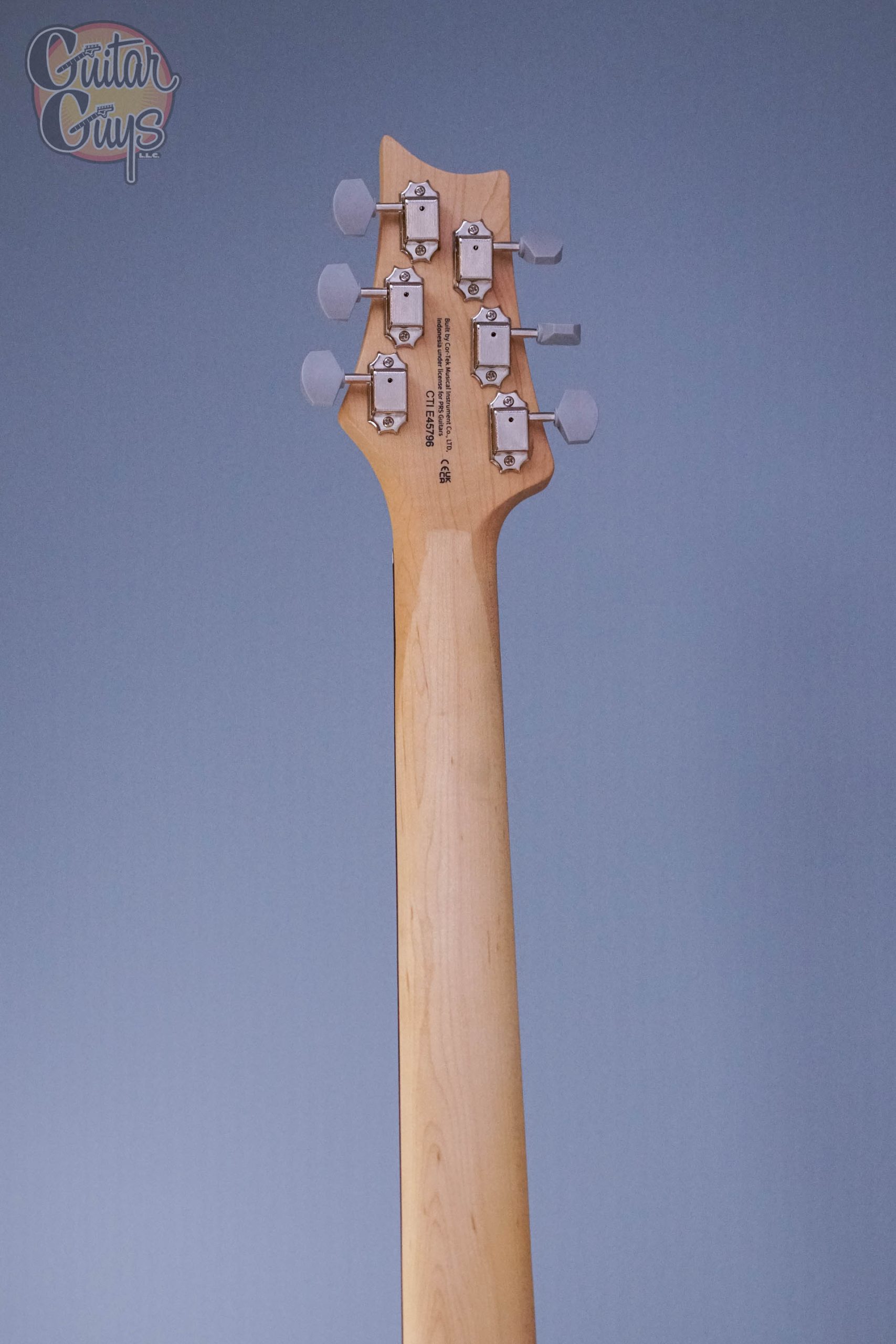 PRS SE Silver Sky Dragon Fruit - Image 4