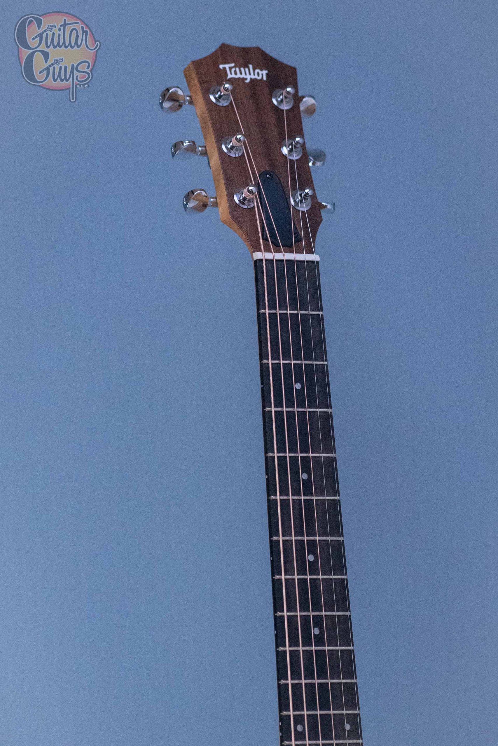 Taylor GS Mini Sapele - Image 2