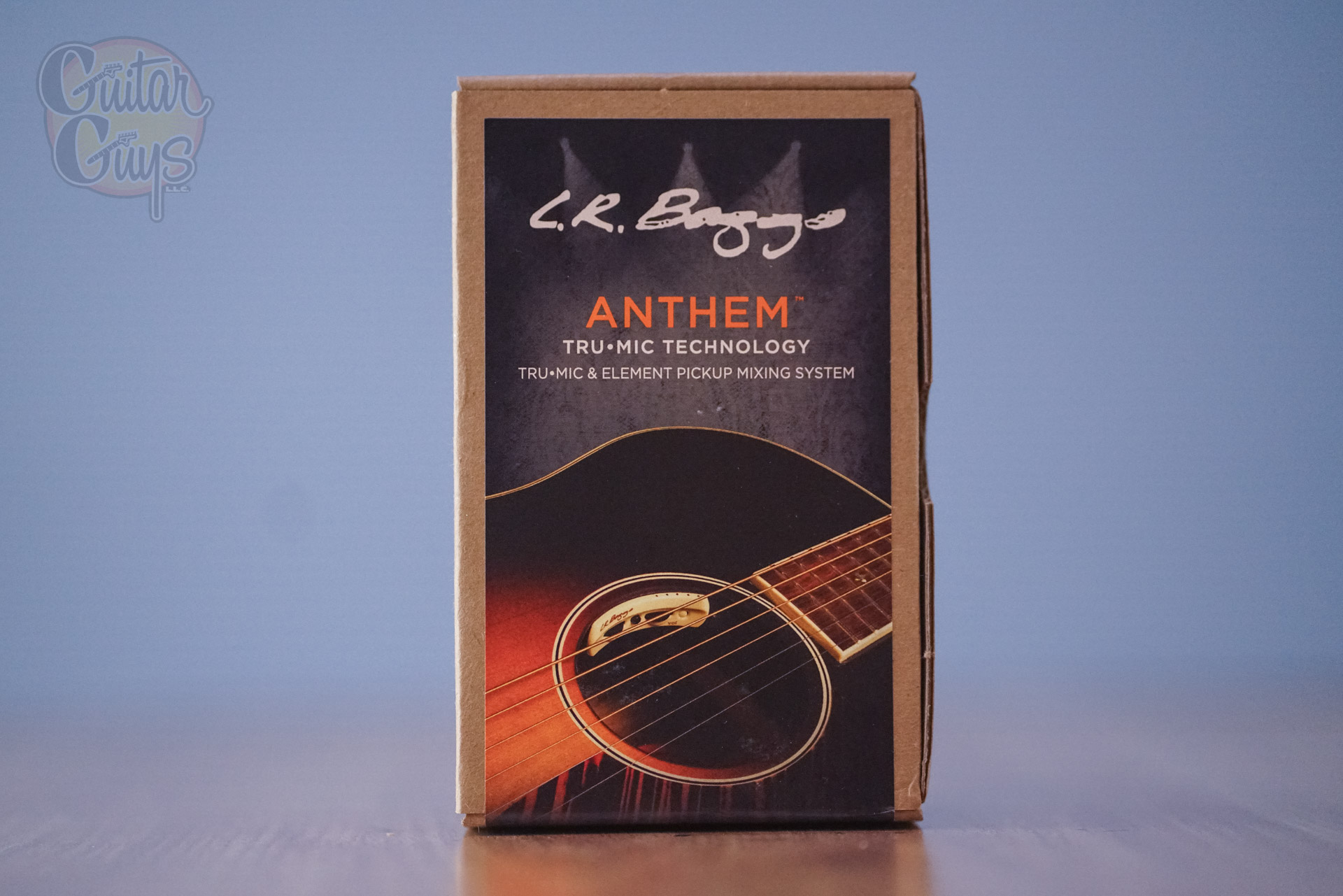 L.R. Baggs Anthem Tru-Mic & Element Pickup System