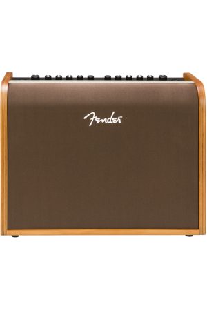 Fender Acoustic 100