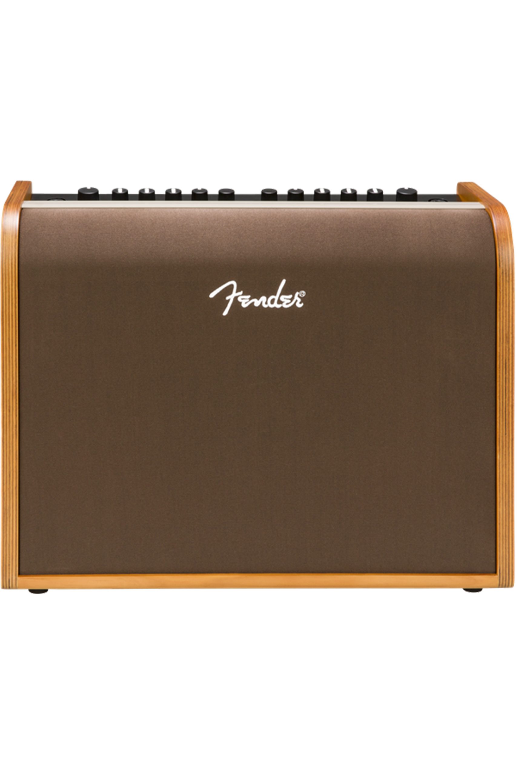Fender Acoustic 100