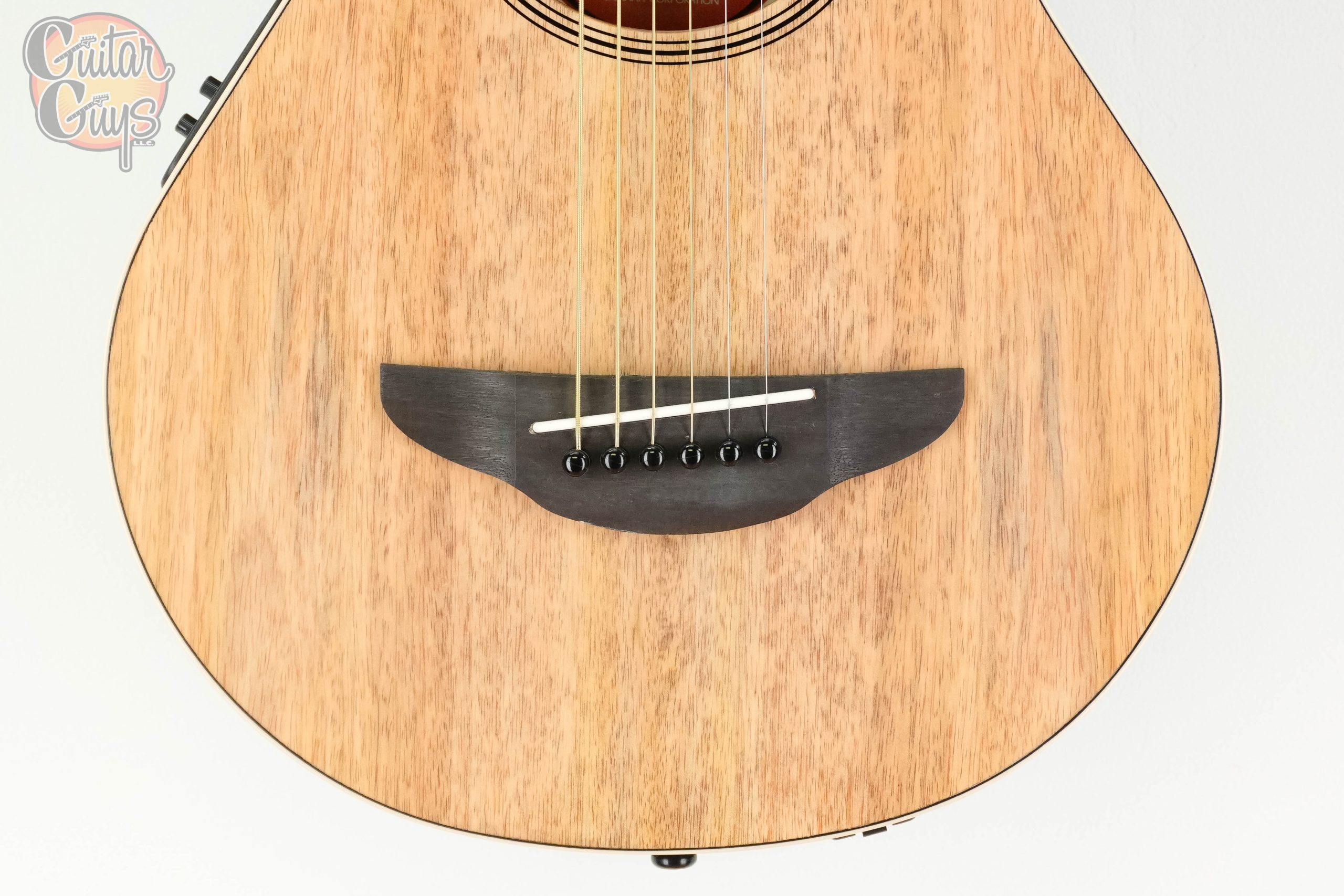 Yamaha APXT2EW - Image 3