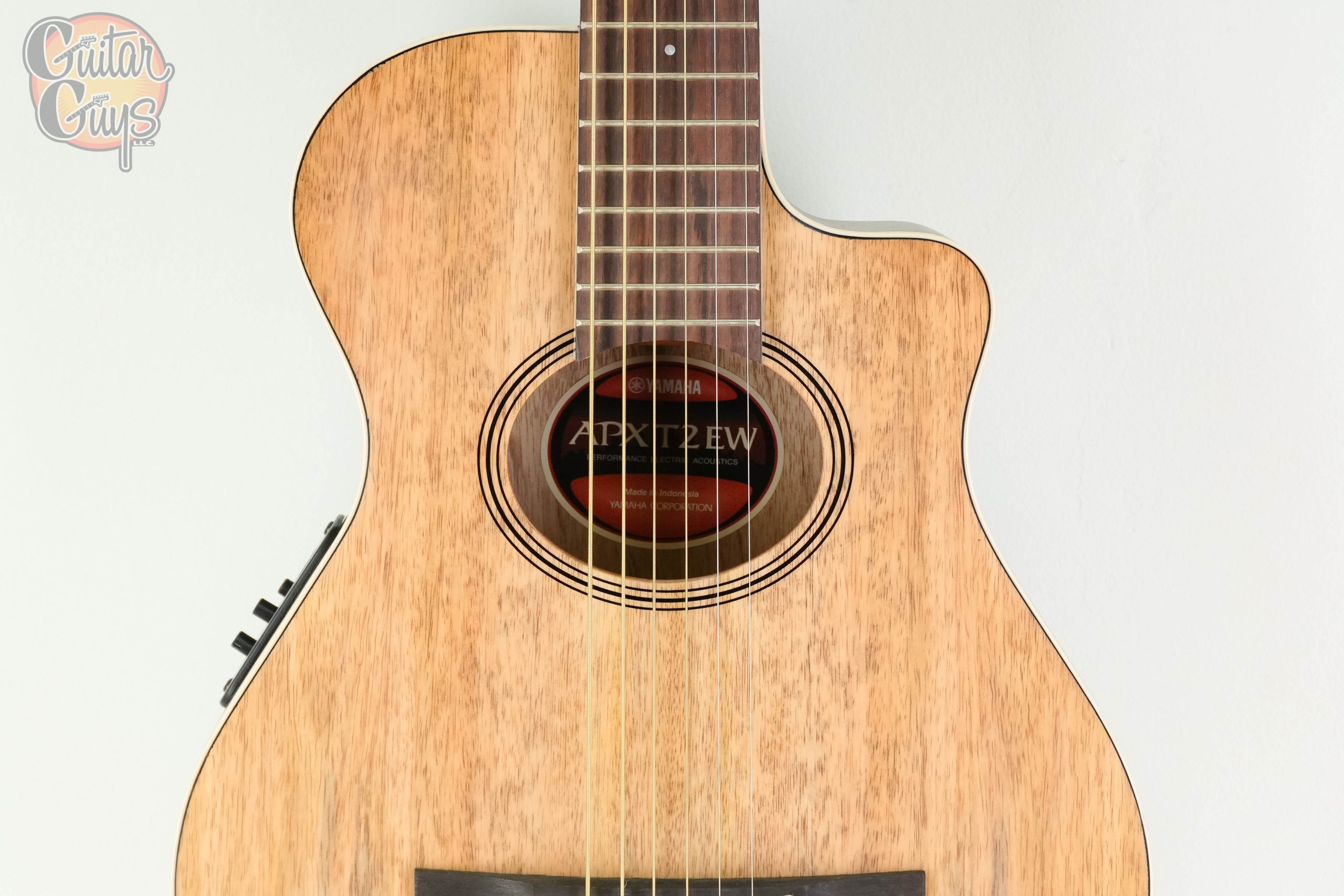 Yamaha APXT2EW - Image 4