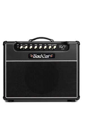 Bad Cat Cub V Handwired EL84 Combo