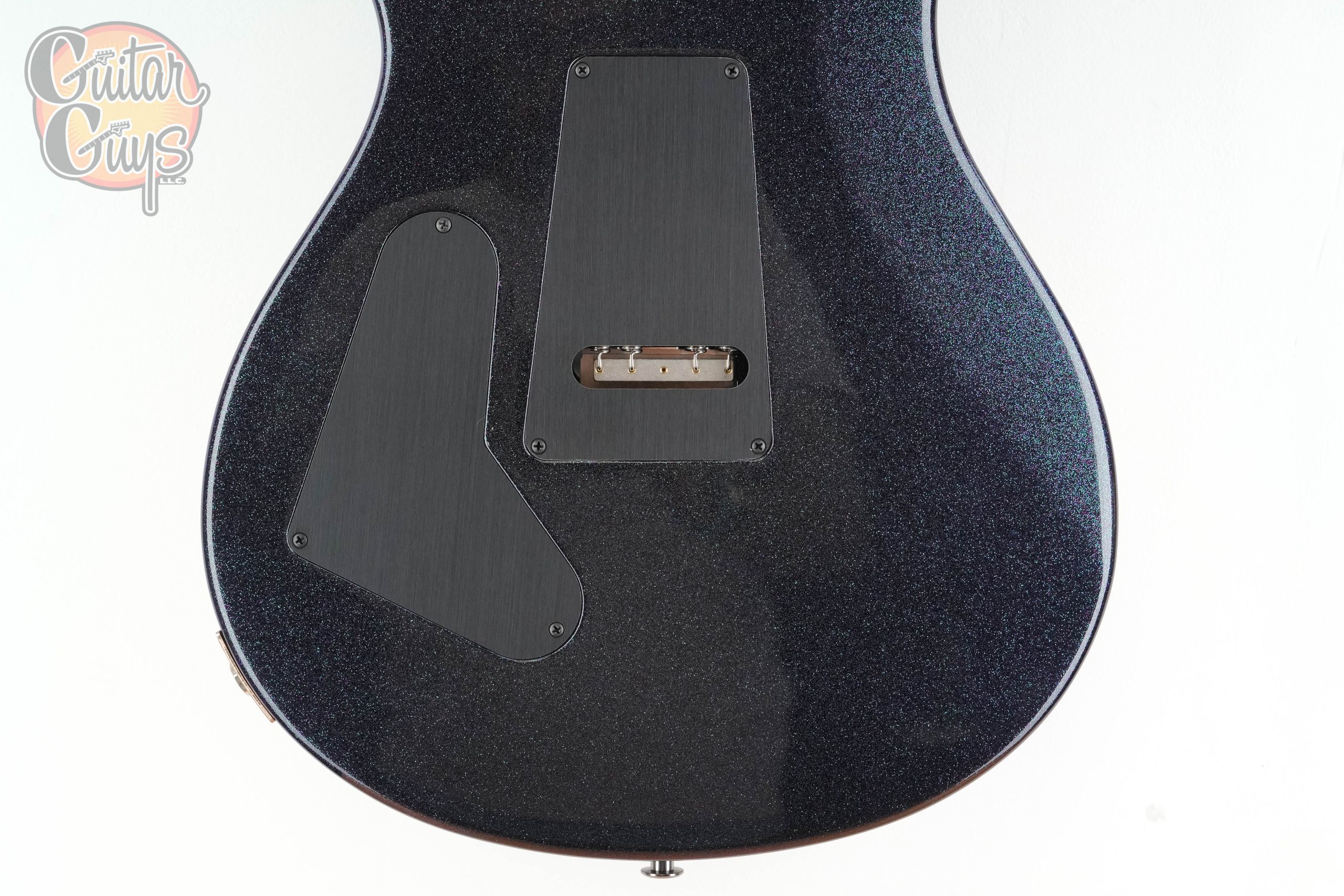 PRS Custom 24 "Floyd" 10-Top Sprayer's Choice - Image 5
