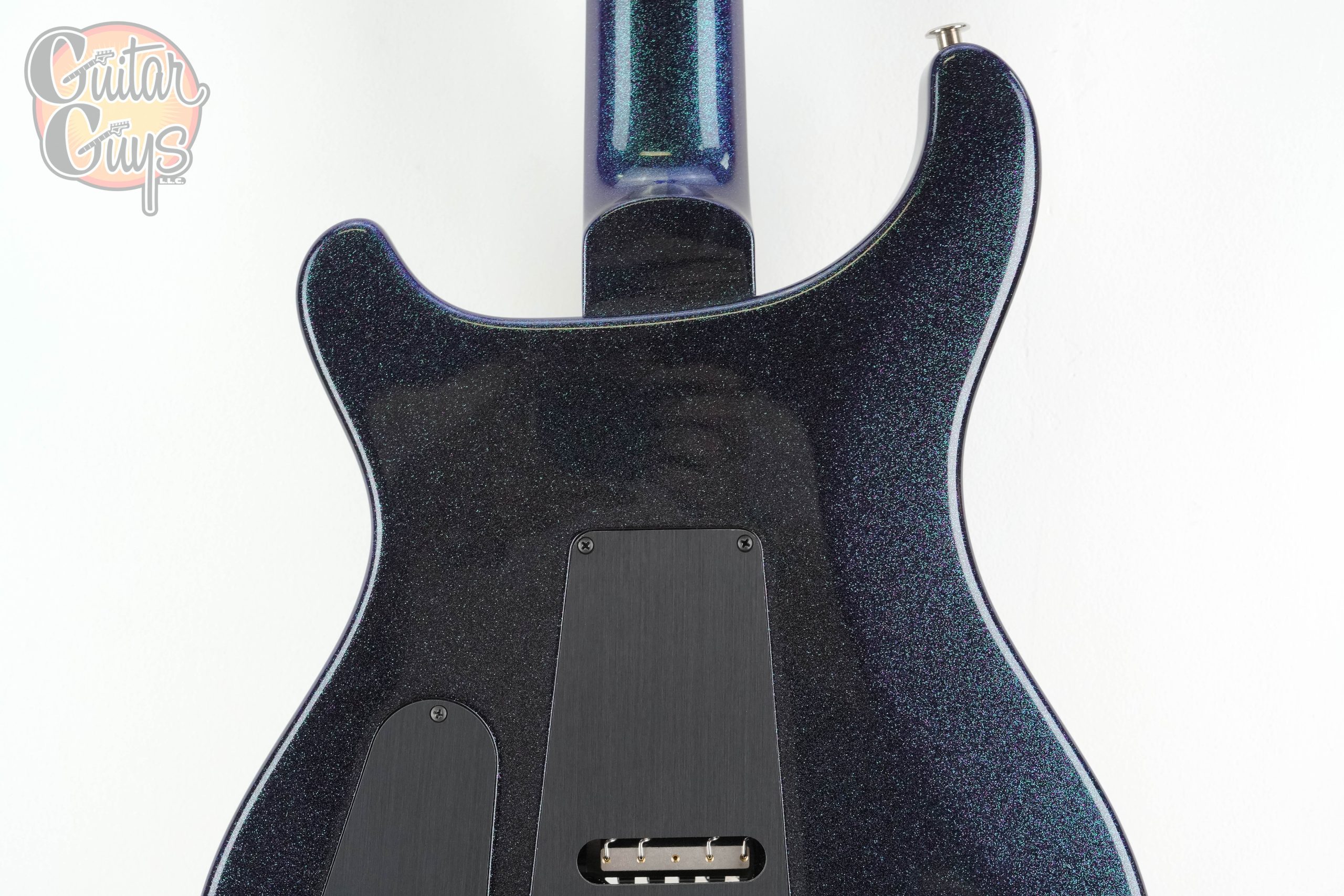 PRS Custom 24 "Floyd" 10-Top Sprayer's Choice - Image 6