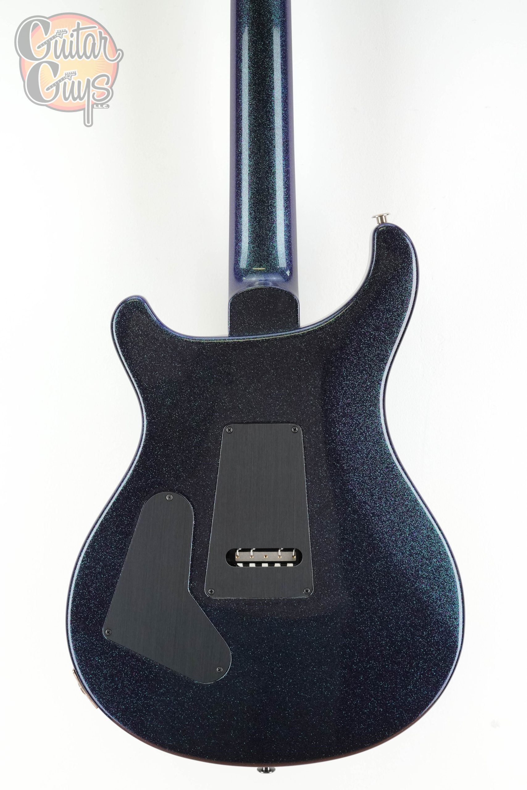 PRS Custom 24 "Floyd" 10-Top Sprayer's Choice - Image 8