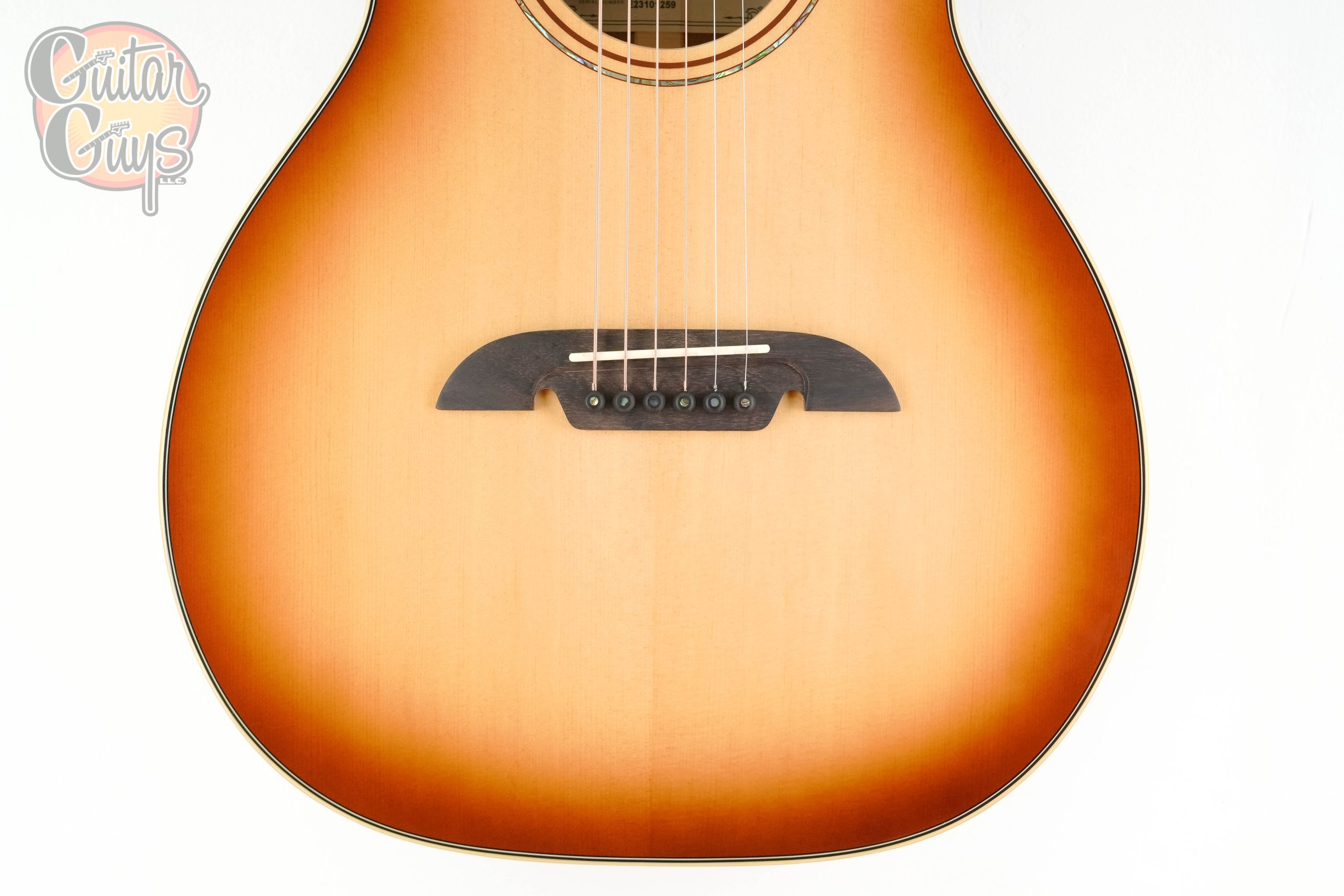 Alvarez MP60e Shadowburst - Image 3