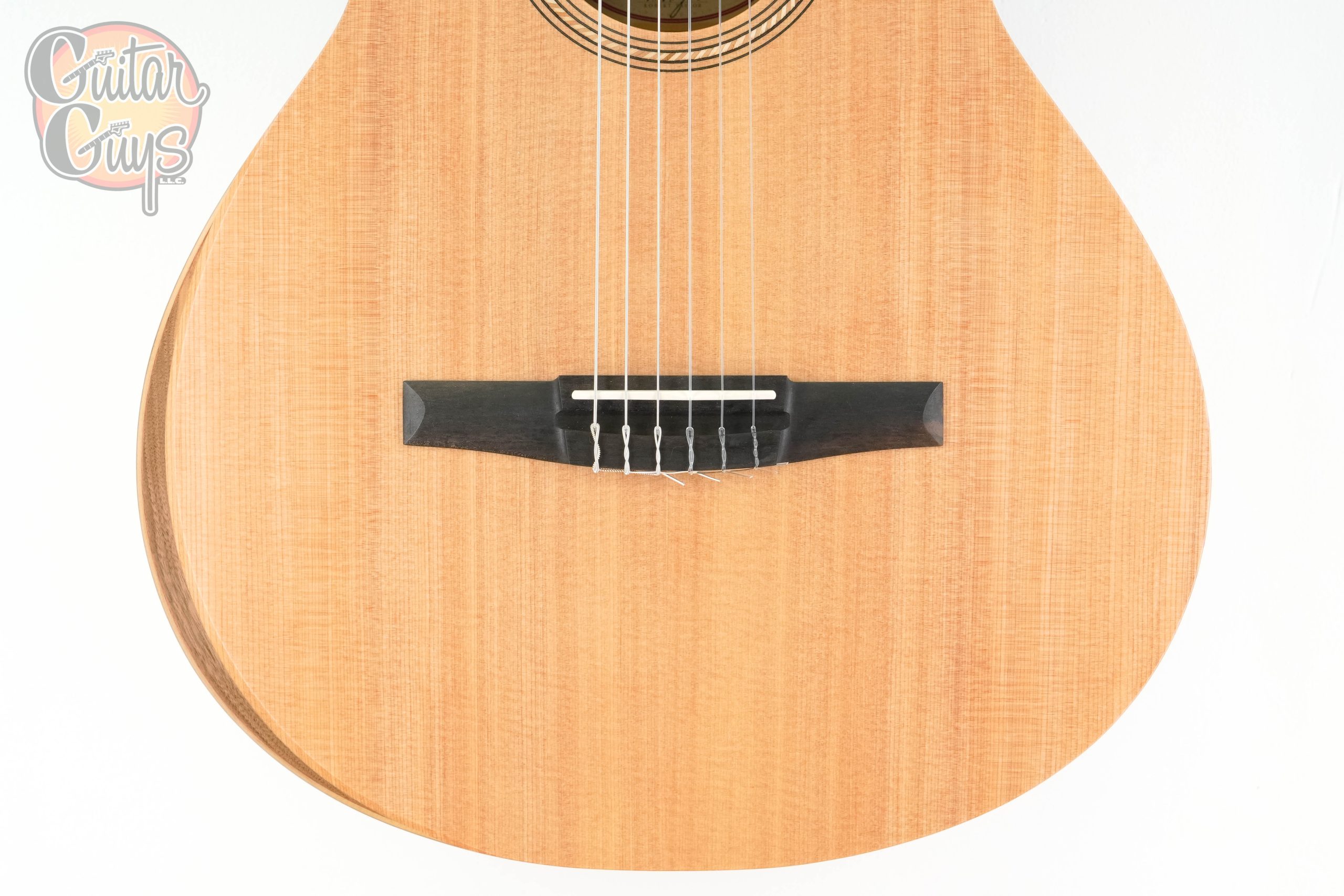 Taylor Academy 12E-N Nylon - Image 3