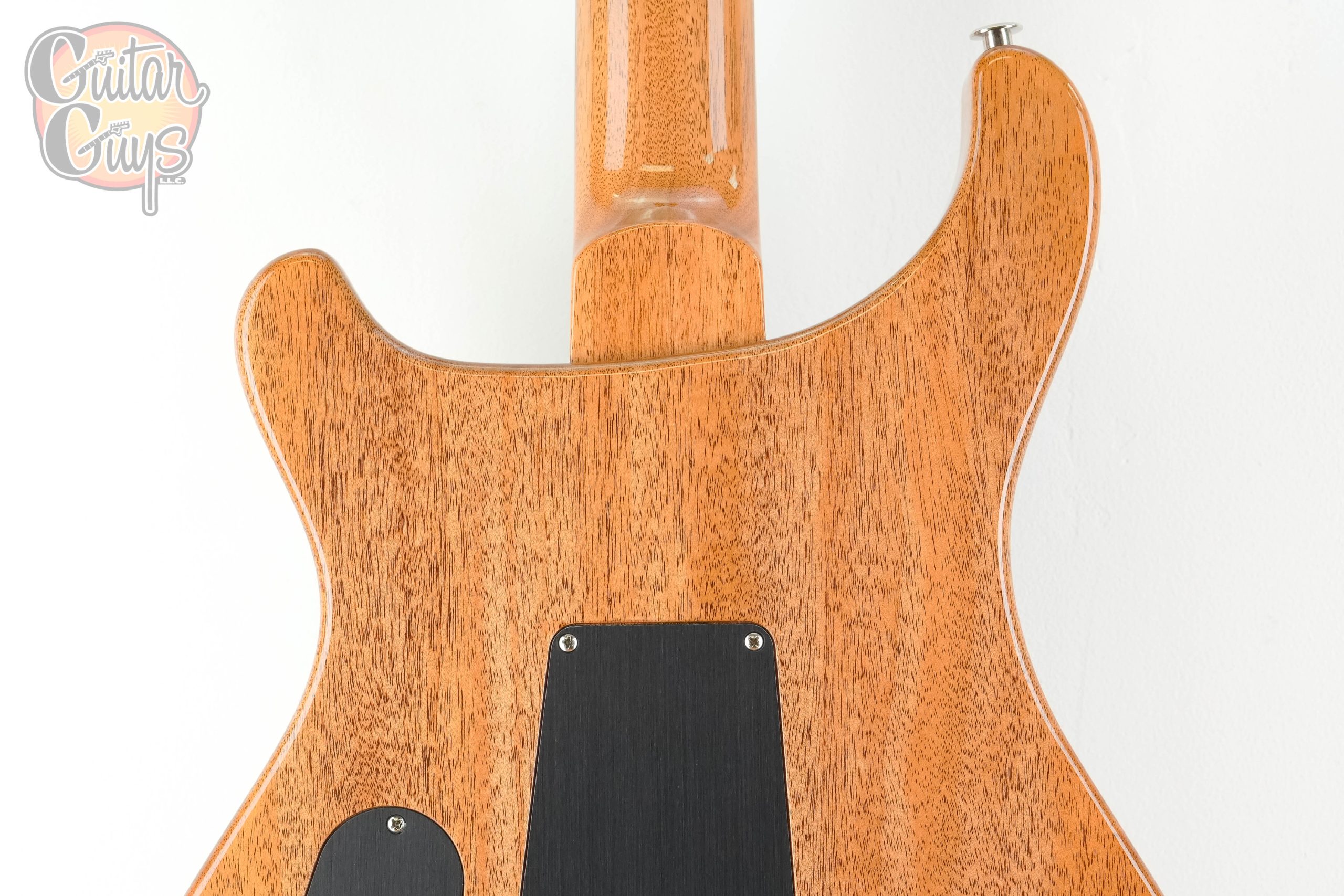 PRS Custom 24 Birds of a Feather Limited Edition Charcoal Microburst - Image 8