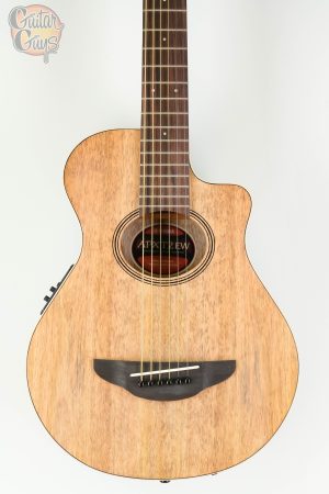 Yamaha APXT2EW