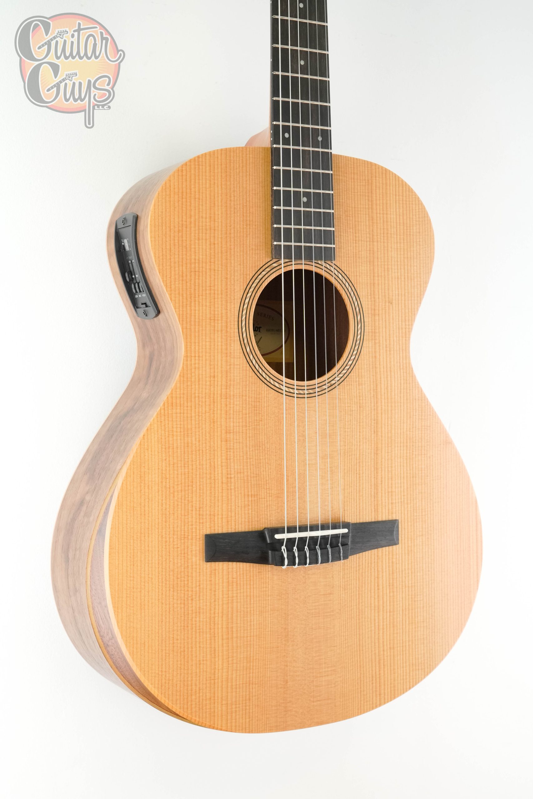 Taylor Academy 12E-N Nylon - Image 3