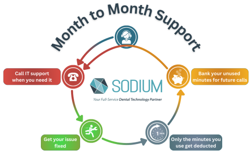 Month 2 Month - IT Support Infographic