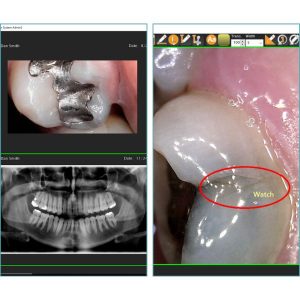 Tiger.View.Product.Page.Icon