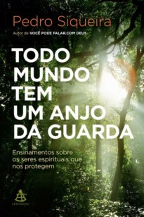 Todo Mundo tem um anjo da guarda