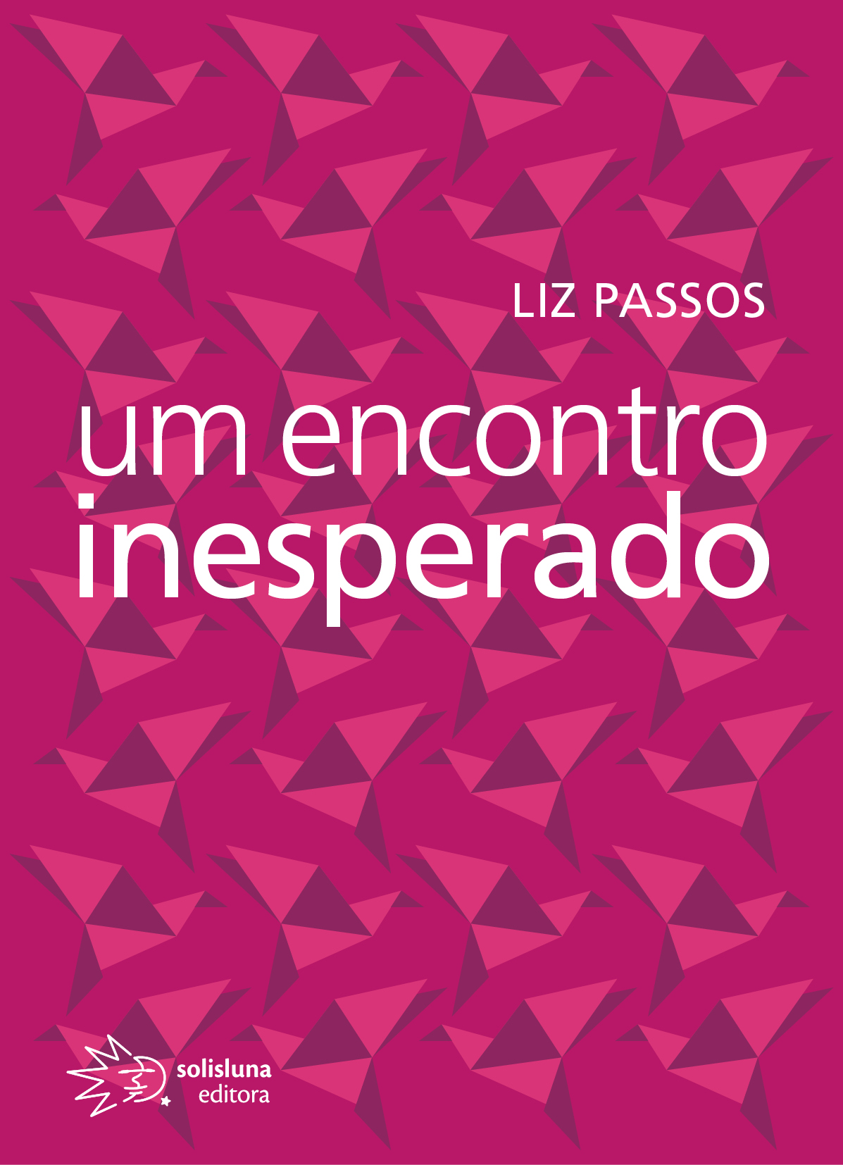 Um Encontro Inesperado