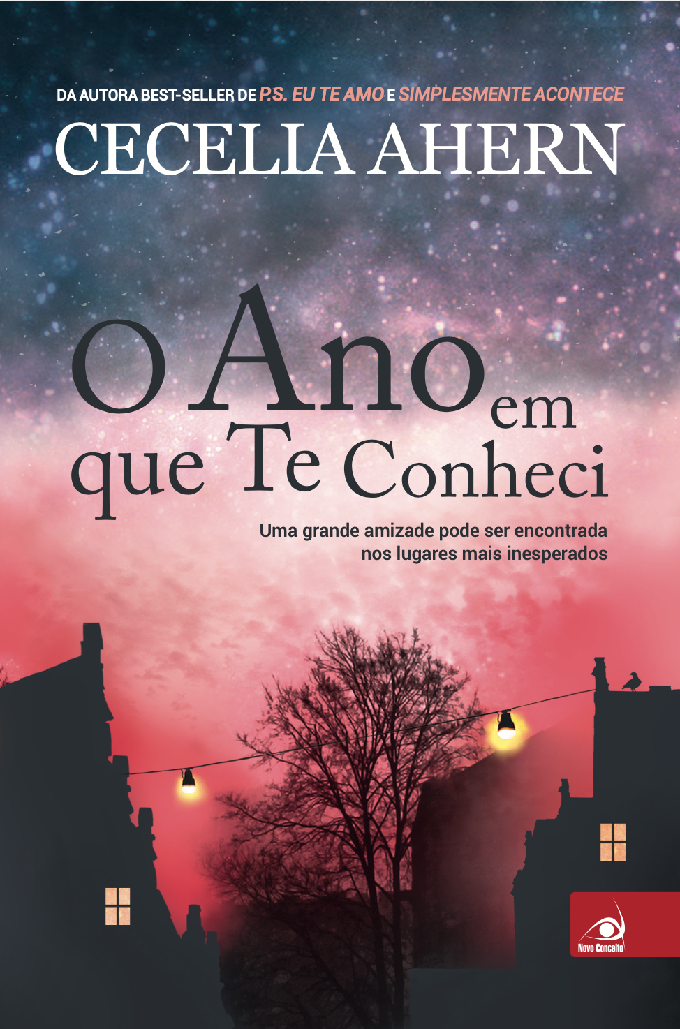 Cecelia Ahern - O ano em que te conheci