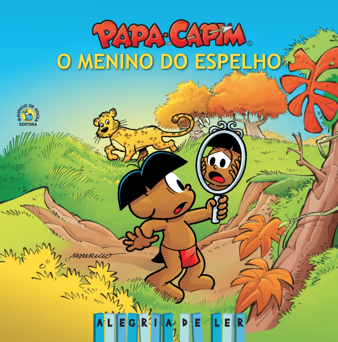 Capa do livro: Papa Capim: O Menino do Espelho