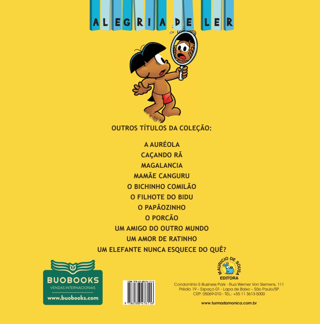 Capa do livro: Papa Capim: O Menino do Espelho