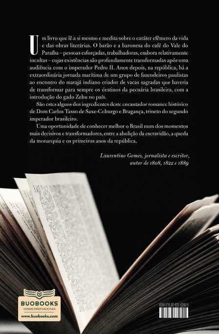 O MISTÉRIO DO LIVRO PERDIDO - AVENTURAS DE UMA FAMÍLIA PAULISTA DO IMPÉRIO À REPÚBLICA.