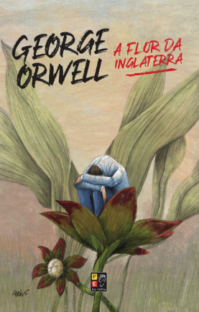 A flor da inglaterra