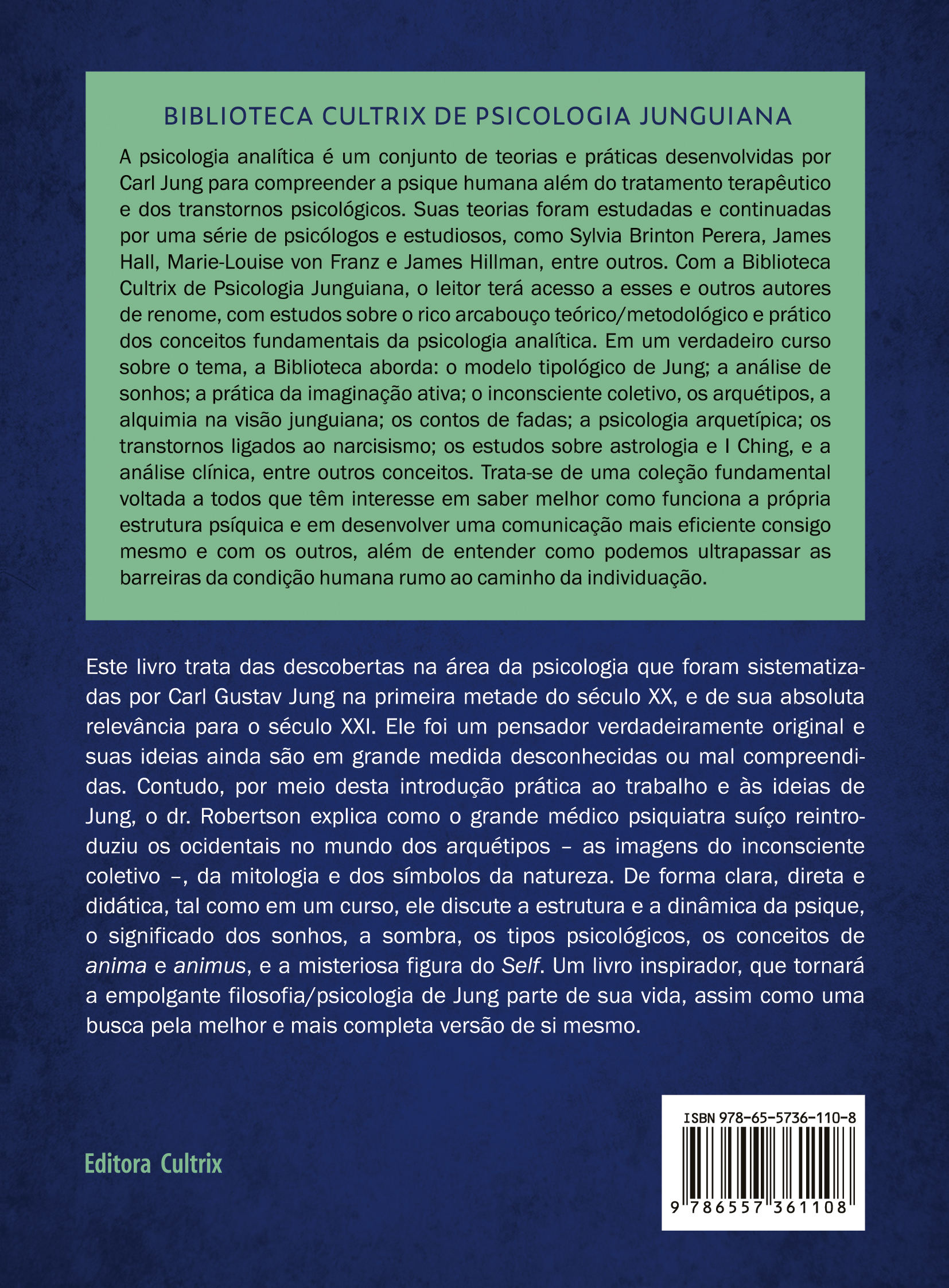 Guia prático de psicologia junguiana - Image 2