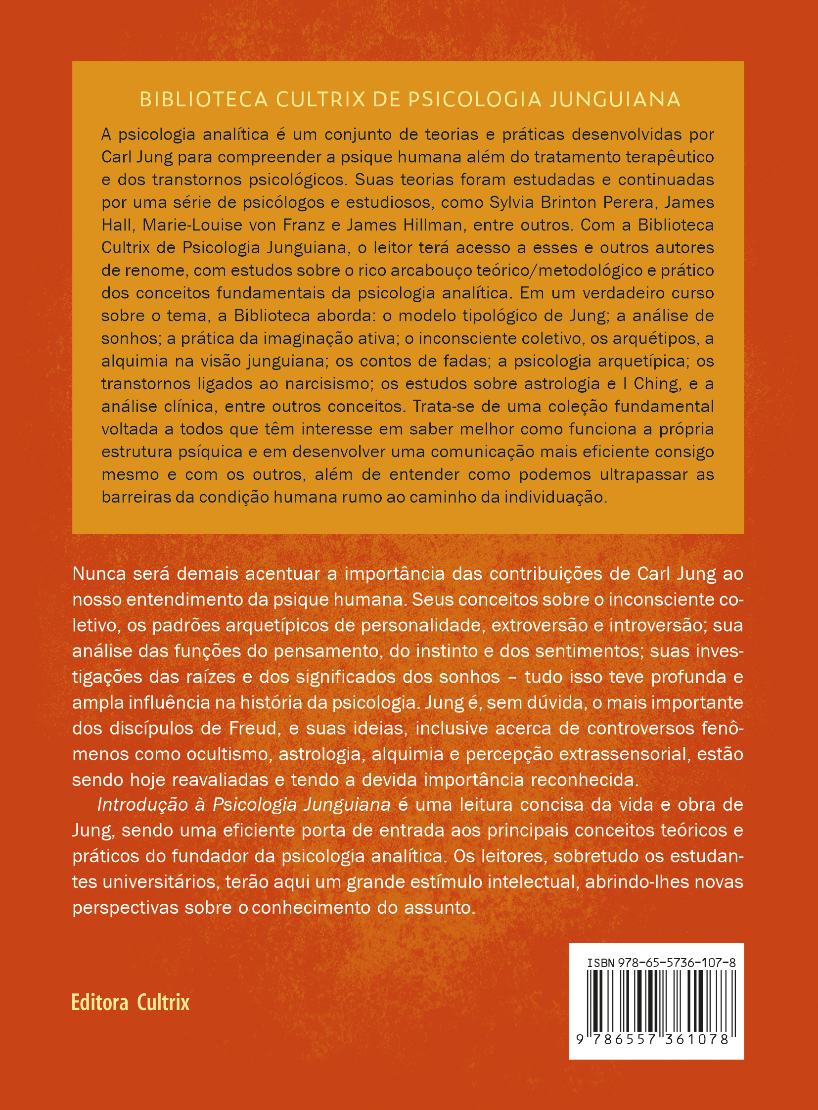 Introdução à psicologia junguiana - Image 2