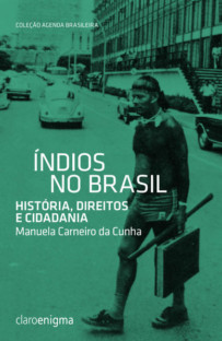 Índios no Brasil