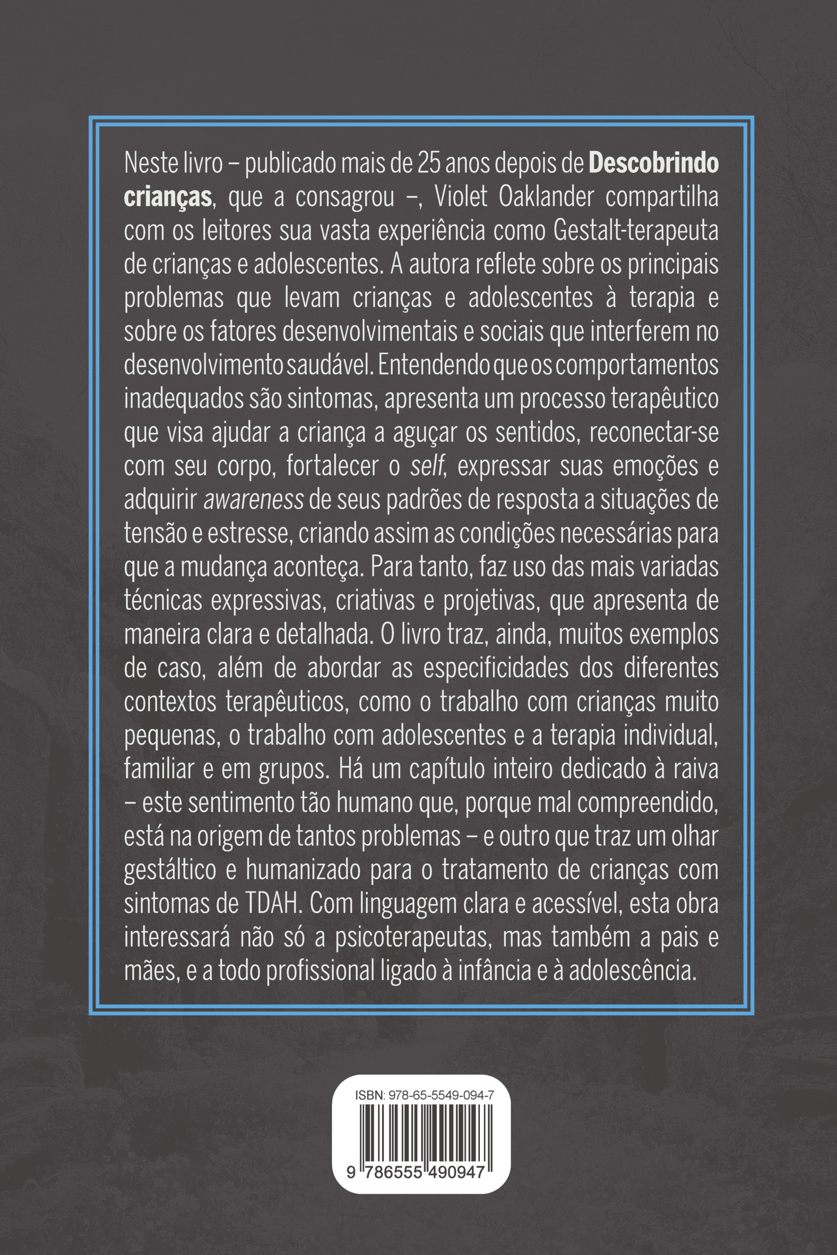 O tesouro escondido – A vida interior de crianças e adolescentes - Image 2