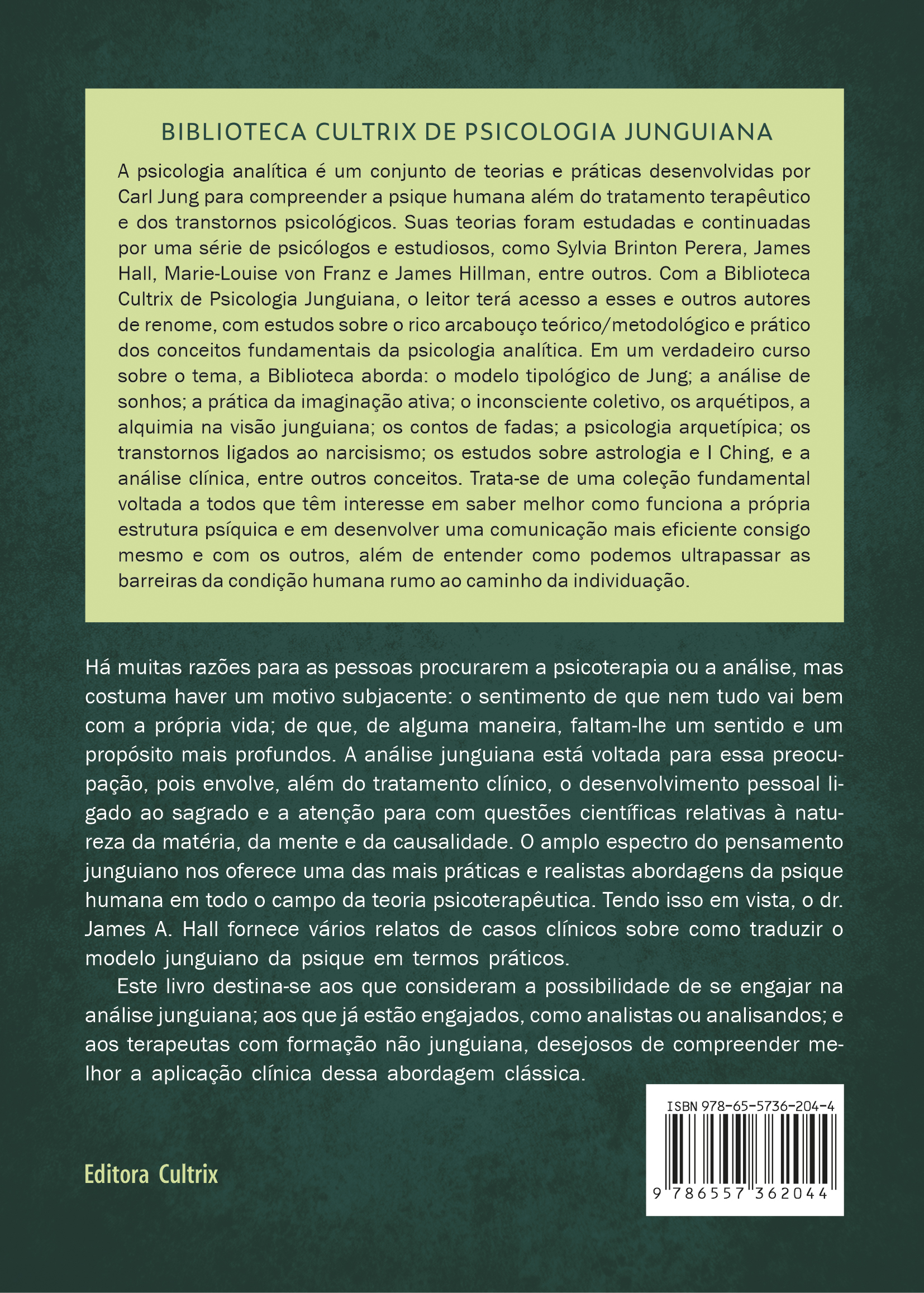 A experiência junguiana - Image 2