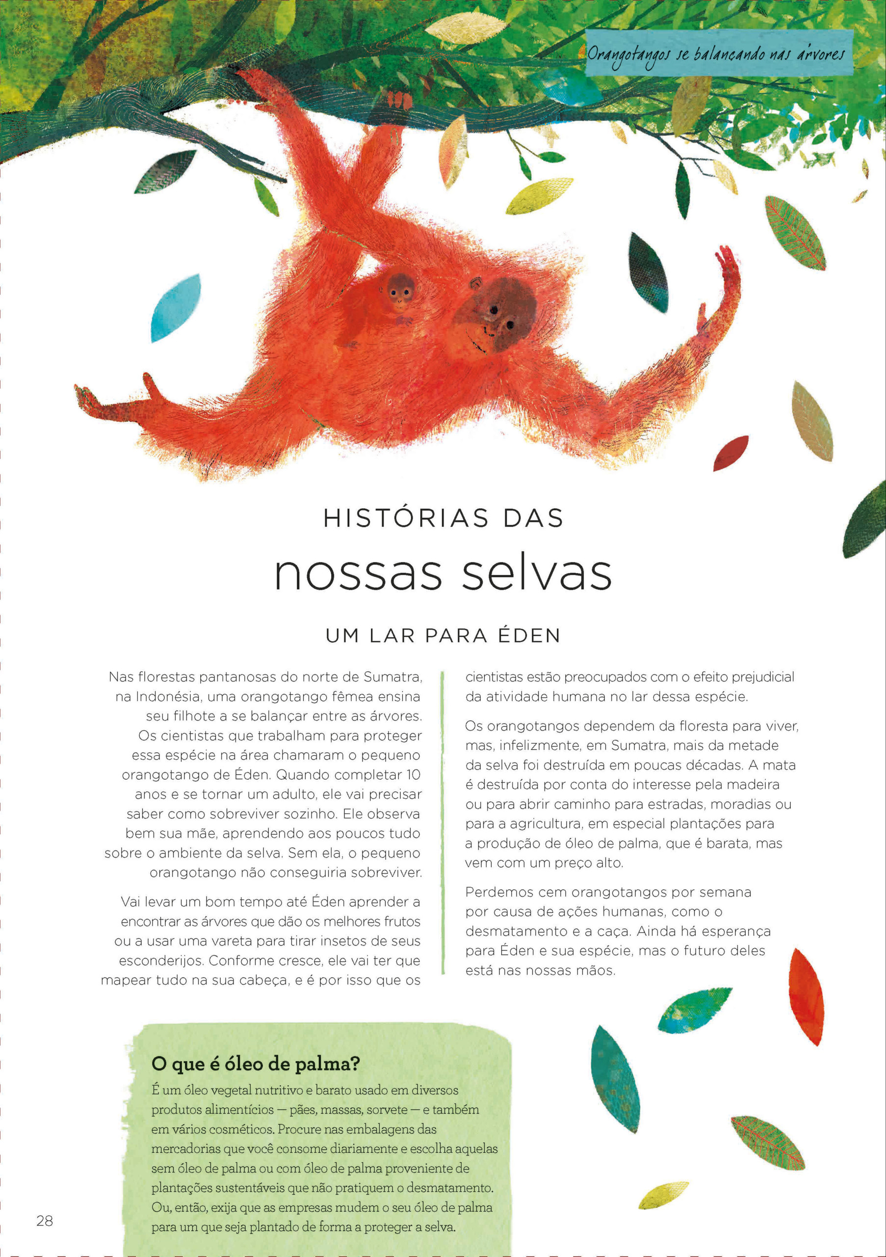 Nosso planeta - Image 3
