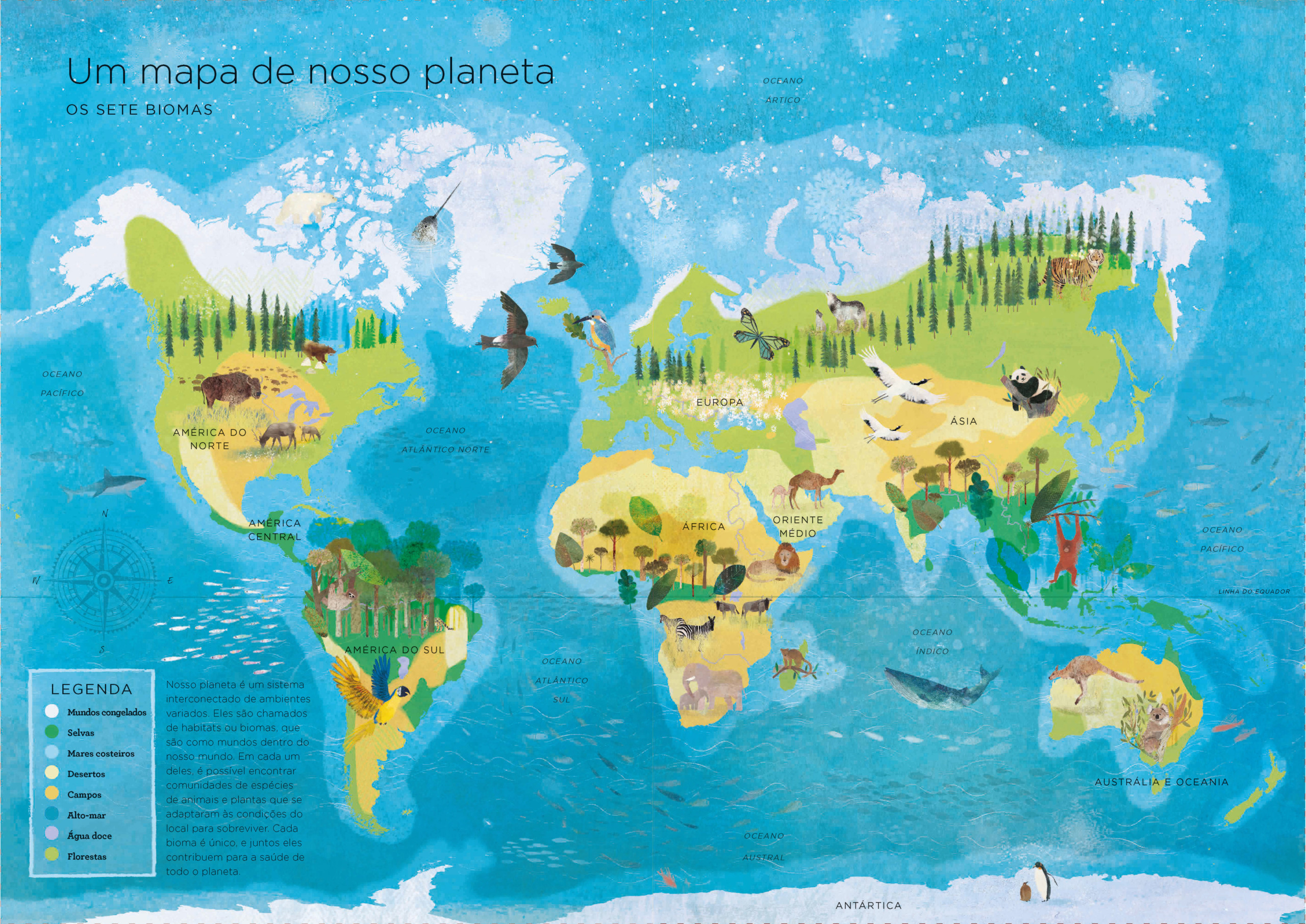 Nosso planeta - Image 2