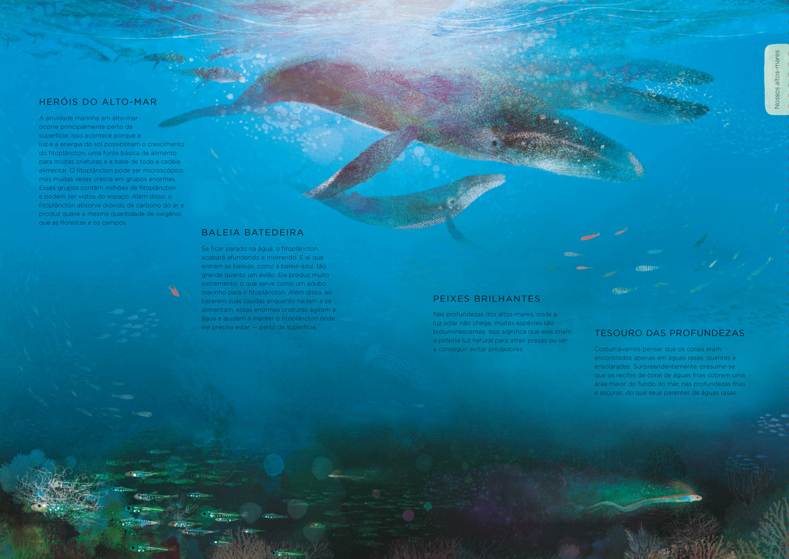 Nosso planeta - Image 7