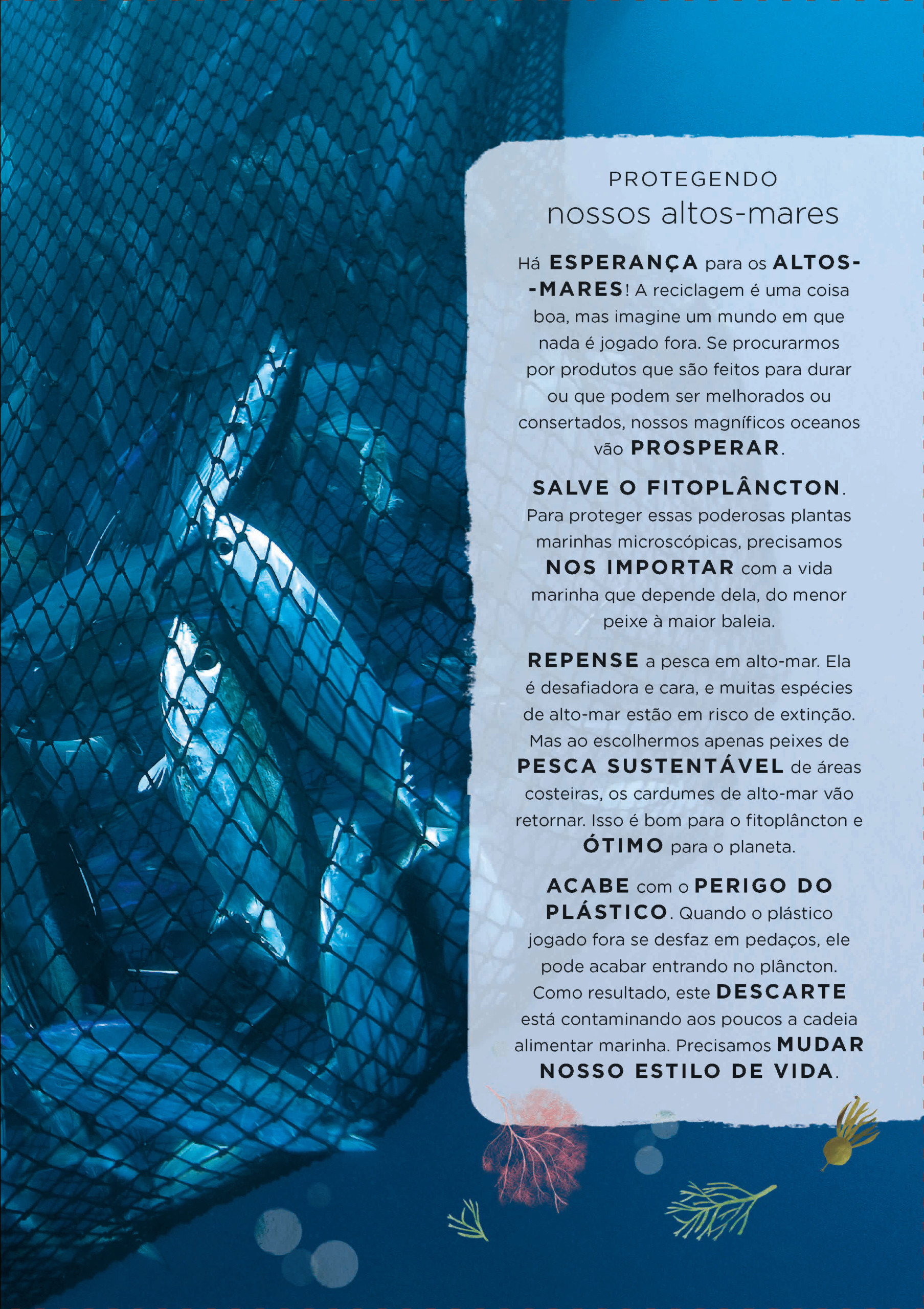Nosso planeta - Image 8
