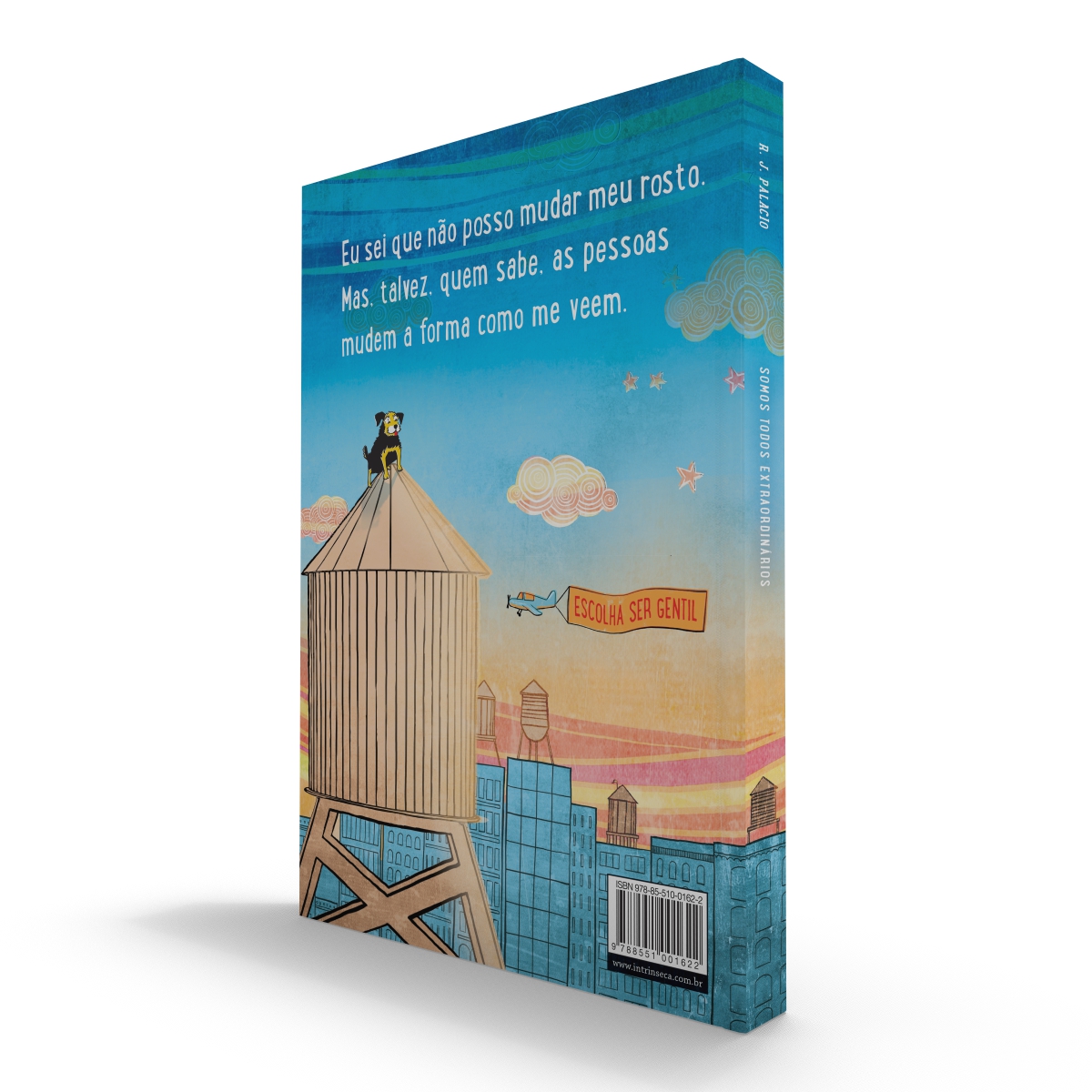 Somos todos extraordinários - Image 4