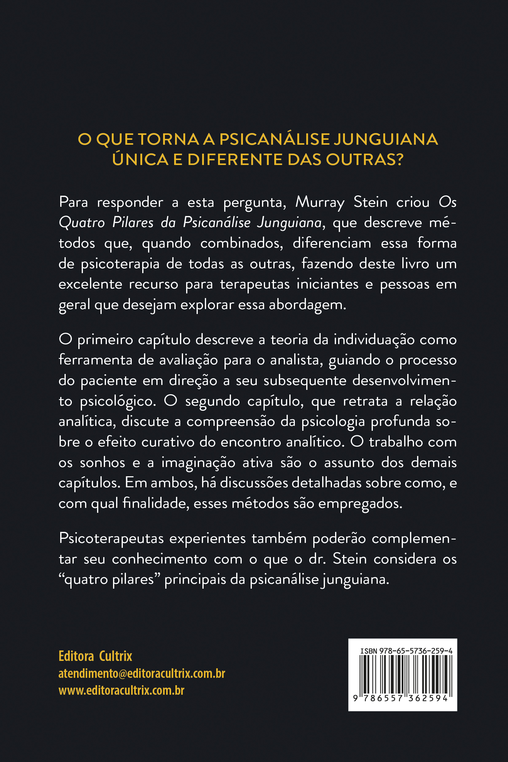 Os quatro pilares da psicanálise junguiana - Image 2