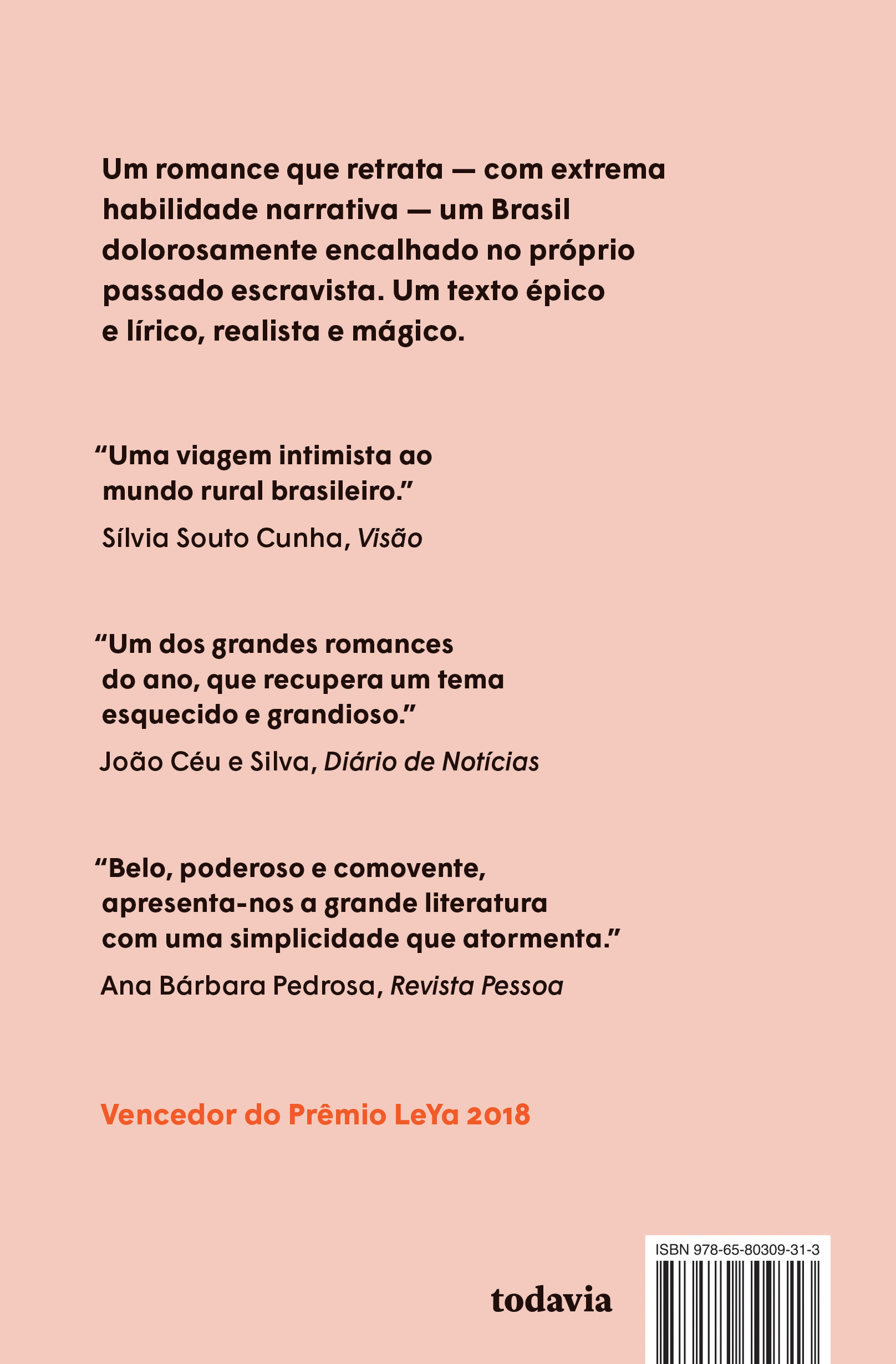 Torto arado - Image 2