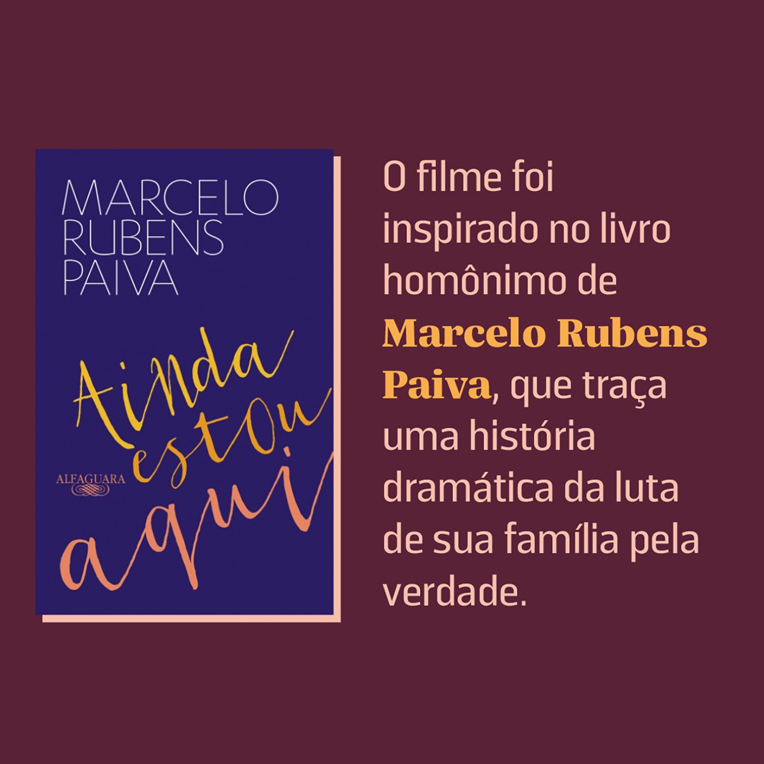 Ainda estou aqui - Image 3