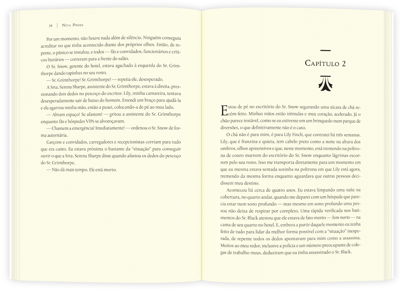 O hóspede misterioso - Image 2