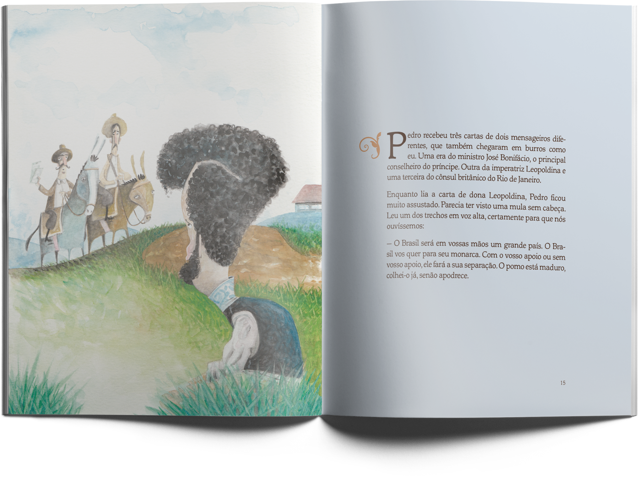 Memórias póstumas do burro da independência - Image 3