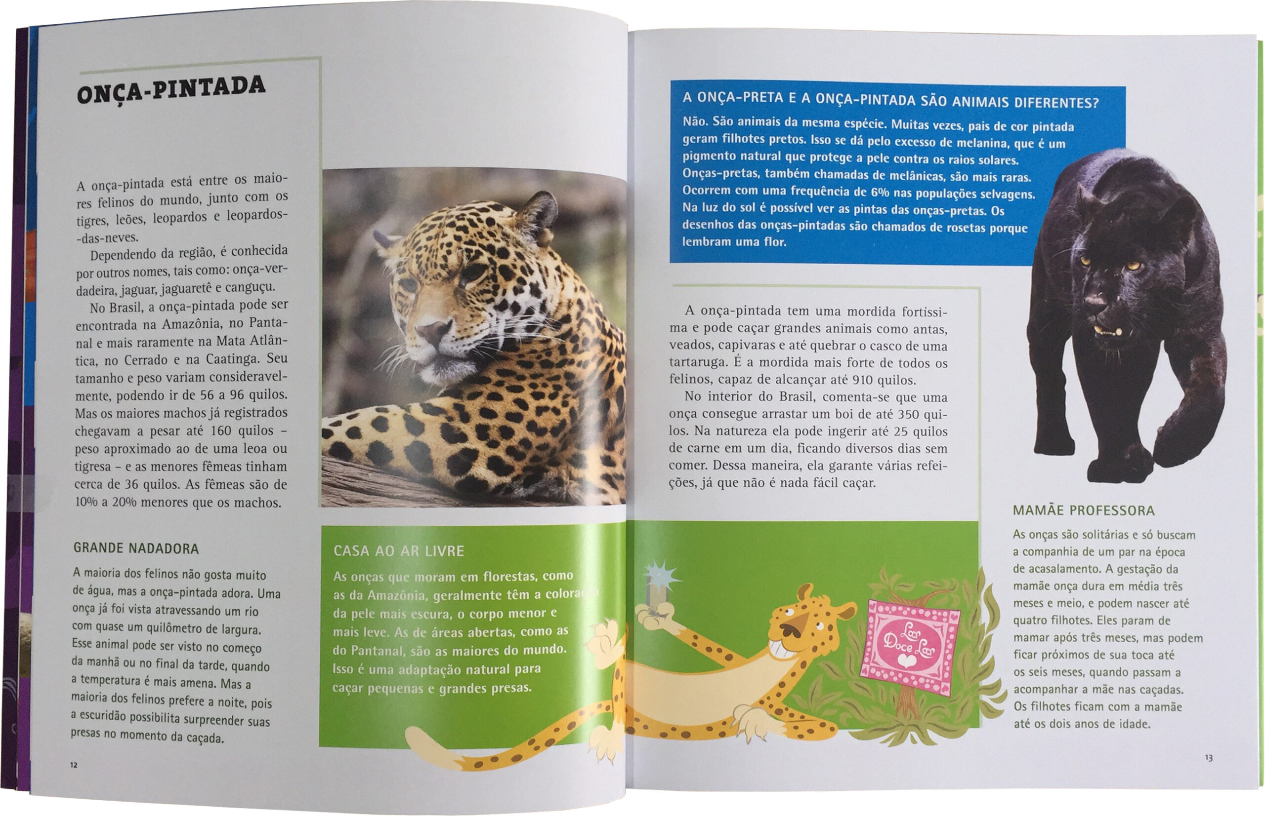 Criaturas Noturnas - Image 3