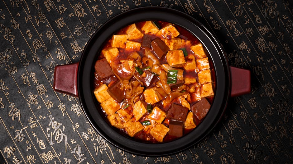 Mapo Tofu