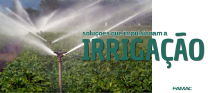 Tecnologia de Bombeamento para o Agronegócio: Soluções que Impulsionam a Irrigação.