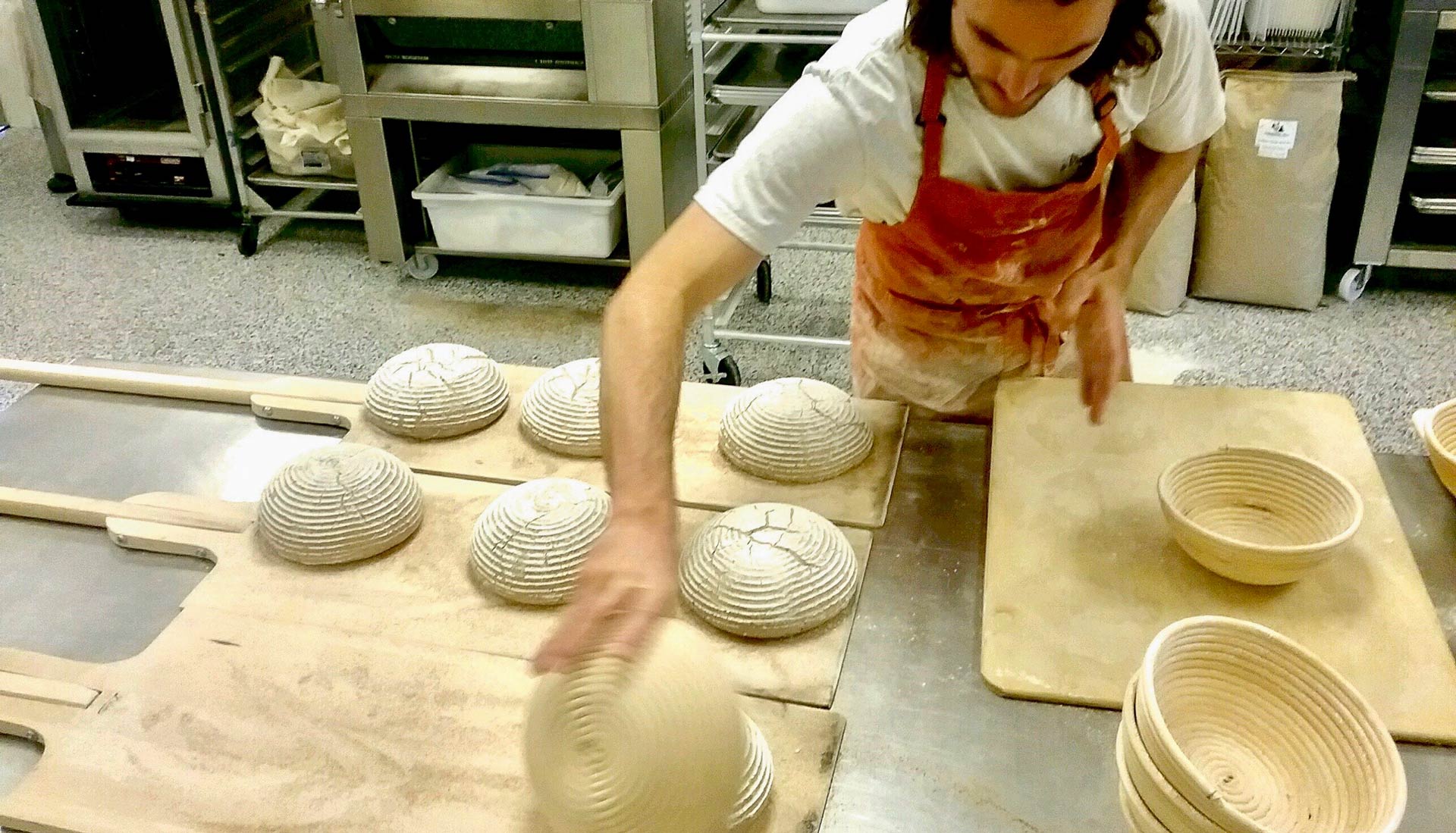 Man in apron forms rustic loaves with a woven bowl
