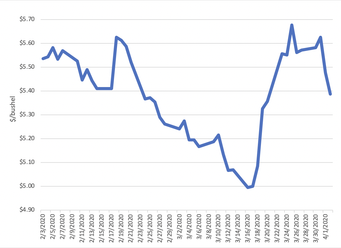 U.S. Wheat Exports Continue to Support Domestic Prices as Global